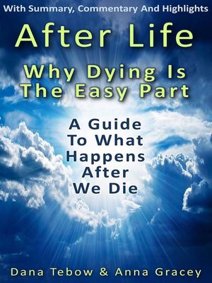 cover image of Afterlife